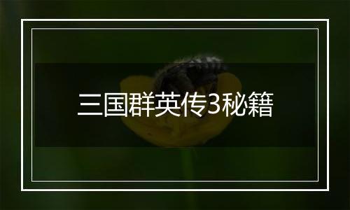 三国群英传3秘籍