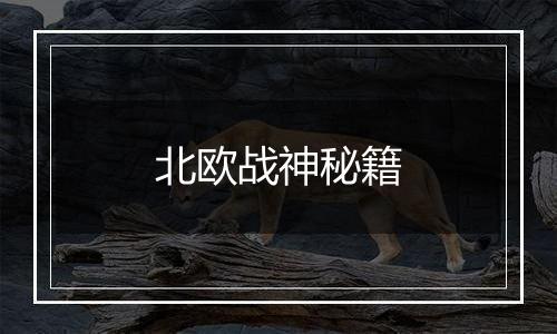 北欧战神秘籍
