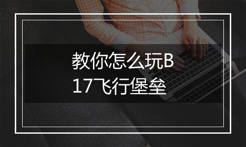 教你怎么玩B17飞行堡垒