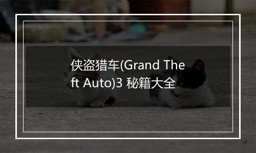 侠盗猎车(Grand Theft Auto)3 秘籍大全